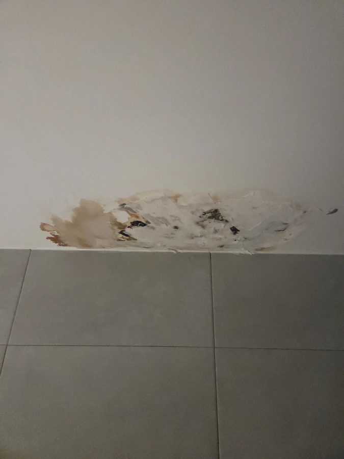 벽 아래쪽에 생긴 얼룩과 곰팡이 흔적